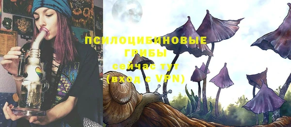 герыч Вяземский