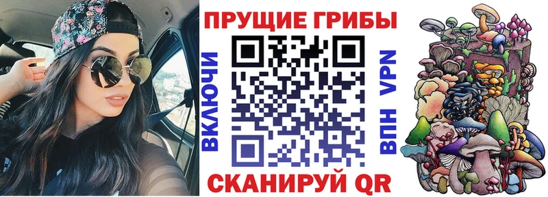 Галлюциногенные грибы Magic Shrooms Купить где Пролетарск